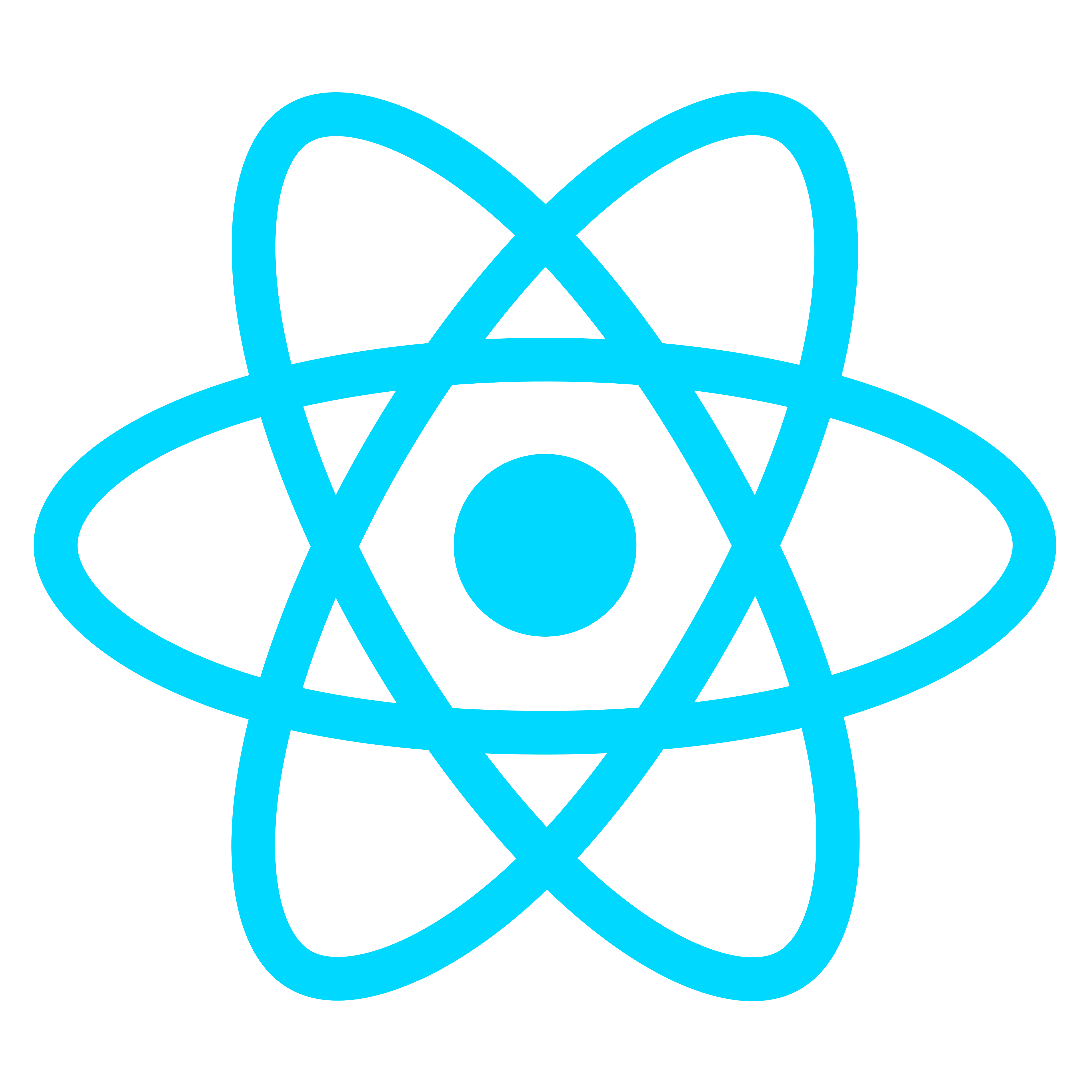 React tool used in the project